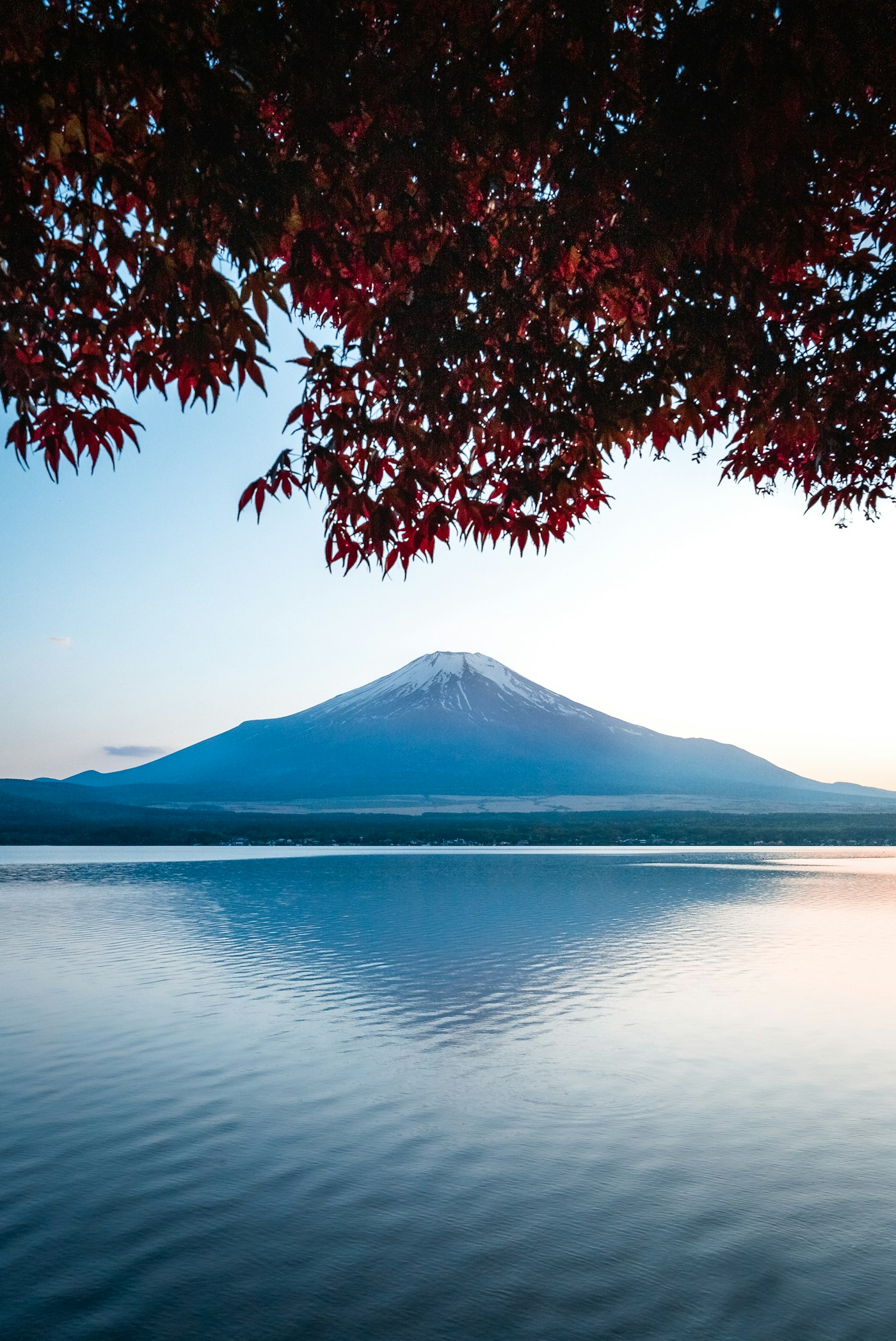 Mount Fuji and cityscape